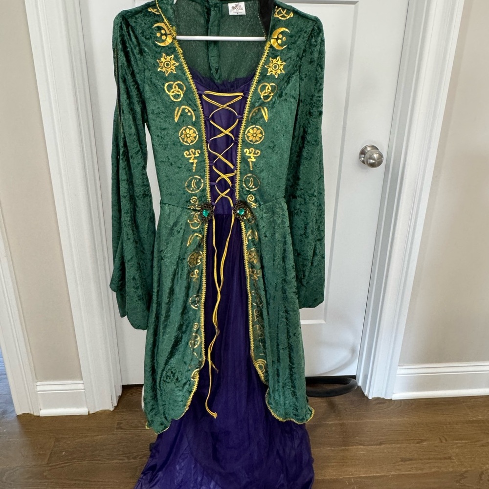 Hocus Pocus Winifred Sanderson Costume (Size Small)